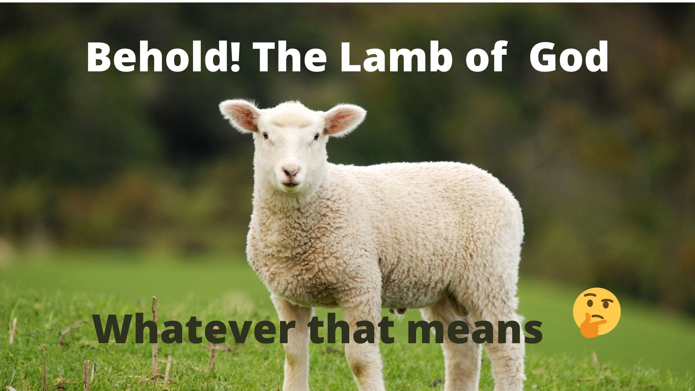 Who is Jesus? Behold the Lamb of God! Life Under Deborah's Palm %